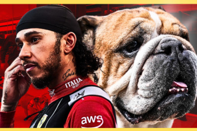 Why Are We Obsessed with Lewis Hamilton’s Dog Dying? It’s a Bloody Dog, For God’s Sake.