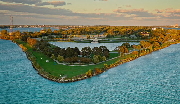 There's An Alligator In Detroit