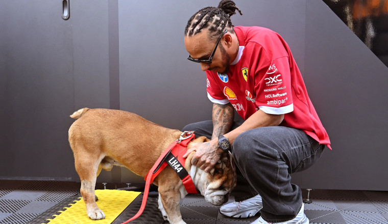 Hamilton on ‘overwhelming’ support since loss of Roscoe