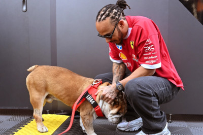 Hamilton on ‘overwhelming’ support since loss of Roscoe