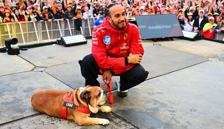 Hamilton: Reaction to Roscoe death heartwarming