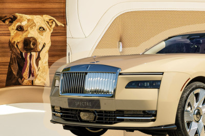 Someone Looked At Mutt Cutts And Said Hold My Champagne And Caviar