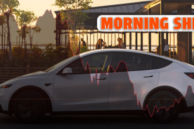 Investors Didn't Like Tesla's Cheaper Model 3 And Model Y