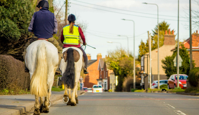 How to drive past horses safely on the road