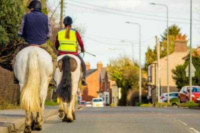 How to drive past horses safely on the road