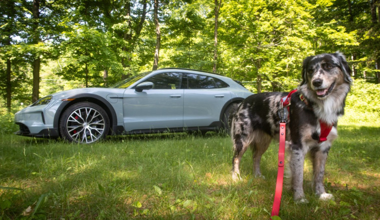 Unfortunately, My Dog Did Not Love the Porsche Taycan Cross Turismo