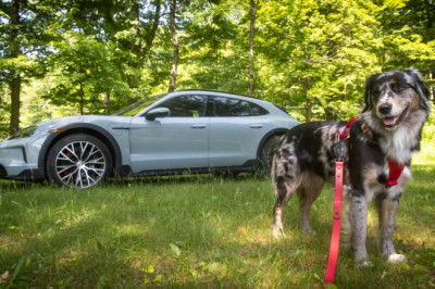 Unfortunately, My Dog Did Not Love the Porsche Taycan Cross Turismo