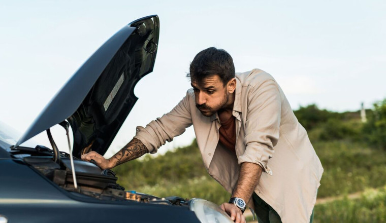 Drivers urged to check under bonnet ‘every 7 days’ for dangerous pest this winter