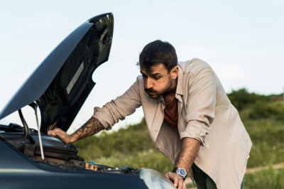 Drivers urged to check under bonnet ‘every 7 days’ for dangerous pest this winter