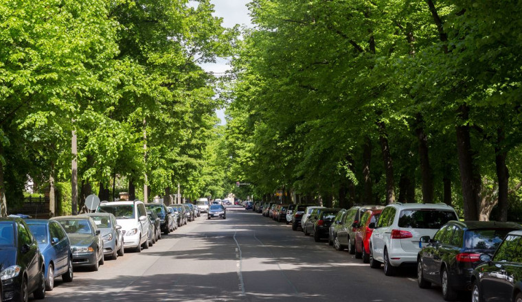 Autotrader urges UK drivers to never park under these three types of trees
