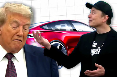 Yale Economists Quantify Exactly How Many Sales Musk’s Politics Cost Tesla