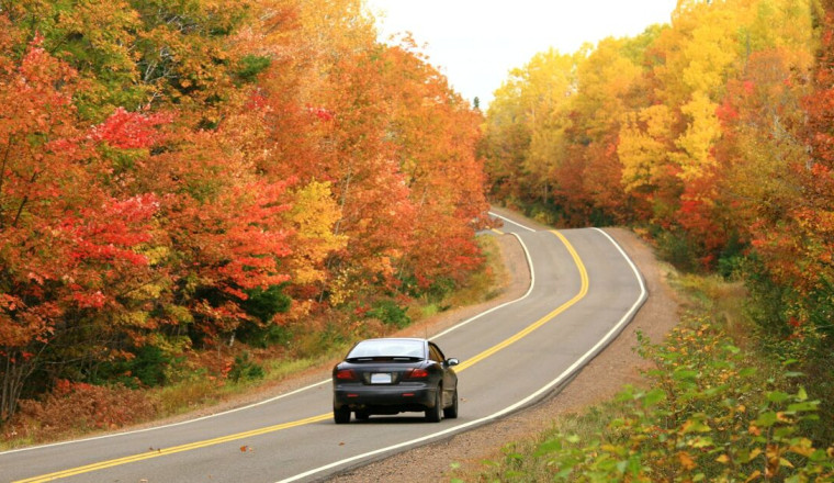 All drivers urged to do simple task before driving in autumn