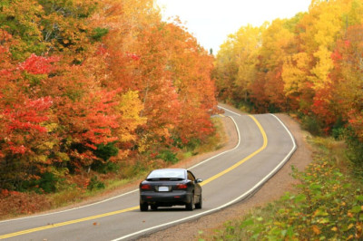 All drivers urged to do simple task before driving in autumn