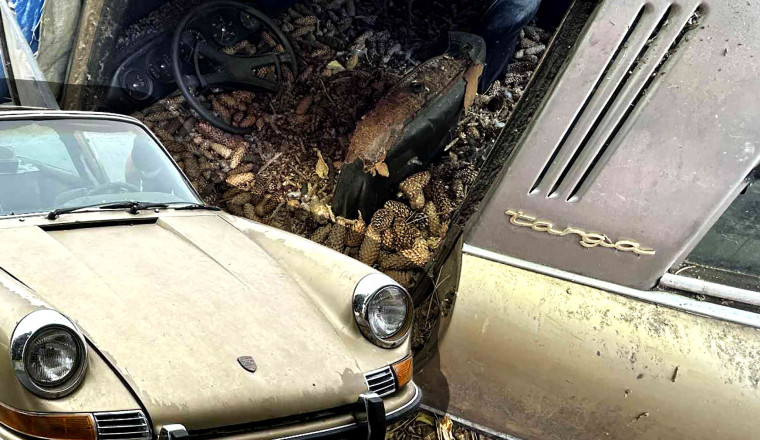 This Porsche 911 Targa Was Buried Under Pine Cones For 31 Years Until Now