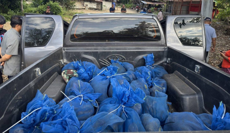 Car Chase Leads To Rangers Finding 81 Monkeys And A Whole Bunch Of Meth Inside Truck