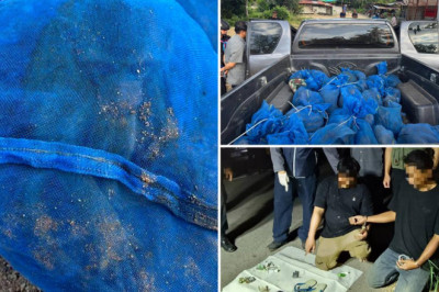 Scumbags Caught with 81 Monkeys and a bag of Meth After Car Chase