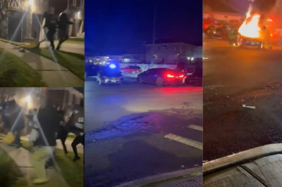 Queens Street Takeover Left Neighbors Bloodied Before NYPD Ever Hit The Siren