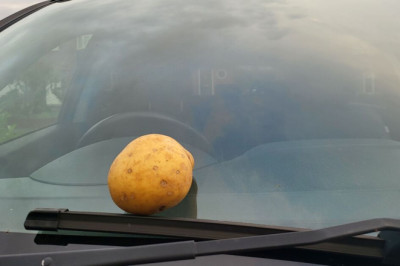 Drivers urged to use potato on car before Tuesday for ‘life saving’ reason