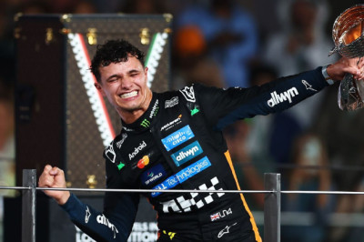 Norris wins first F1 world title after tense finale