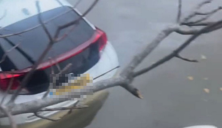 'We parked at pub and came out to find cars under water'