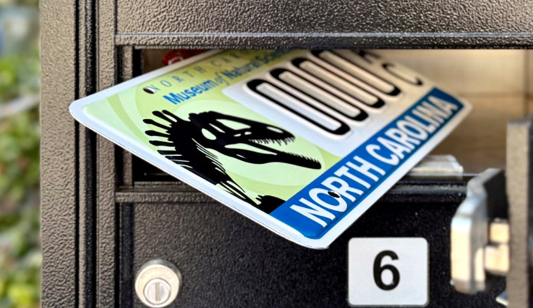 NC Drivers Just Got a Plate That’s 110 Million Years in the Making
