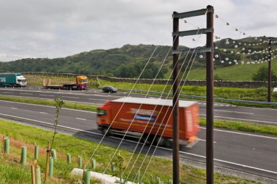 Bat Bridges: The £2 Million Wire Structures Over UK Motorways That Don't Actually Work