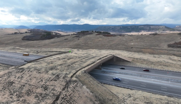 Colorado Created an Overpass for Animals in the Name of Safety