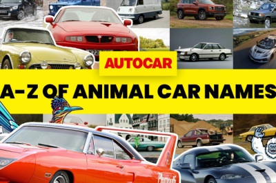 The A-Z of cars named after animals: Ant to Zebra via... Golf?