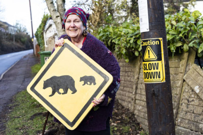 Traffic campaigner puts up 'Bears crossing' signs to get drivers to slow down after three crashes outside her house