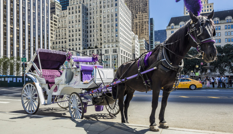 Runaway Carriage Reminds Us Once Again That Horses Don't Belong In New York City