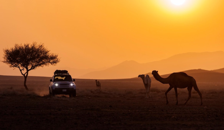 Here’s What I Saw While Off-Roading in Saudi Arabia During the Dakar Rally