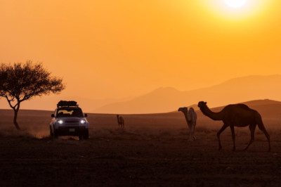 Here’s What I Saw While Off-Roading in Saudi Arabia During the Dakar Rally