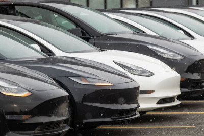 Major blow to Elon Musk's Tesla as EU electric sales crash and Chinese brand closes gap