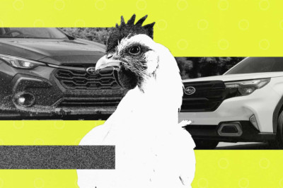Fun Fact: Three Percent Of Subaru Owners Haul Chickens