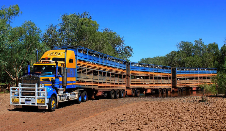 Australia's Trucking Industry On The Brink Of Collapse | A Dire Warning For The World