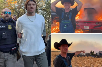 Tennessee Just Made WhistlinDiesel the Poster Boy for Tax Evasion