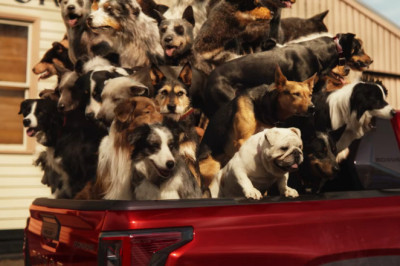 Toyota Let The Dogs Out, And Now Ad Regulators Are Barking Mad