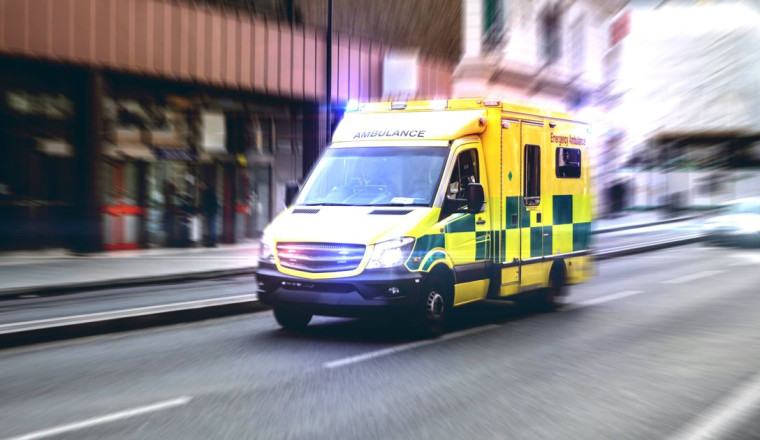 The Art of Baking: From Classic Bread to Artisan Pastries