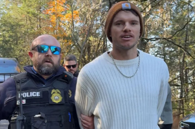 Looks Like Making WhistlinDiesel The Poster Boy For Tax Evasion is Working