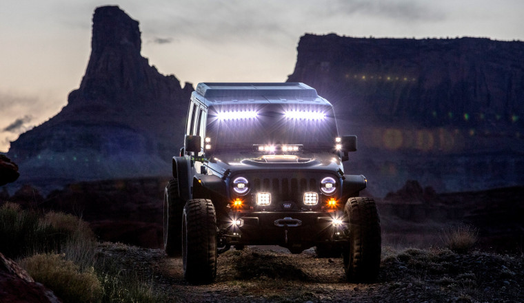 Tiny Animal Beats Off-Roaders As Judge Shuts Down Thousands Of Miles Of Trails