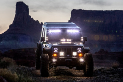 Tiny Animal Beats Off-Roaders As Judge Shuts Down Thousands Of Miles Of Trails