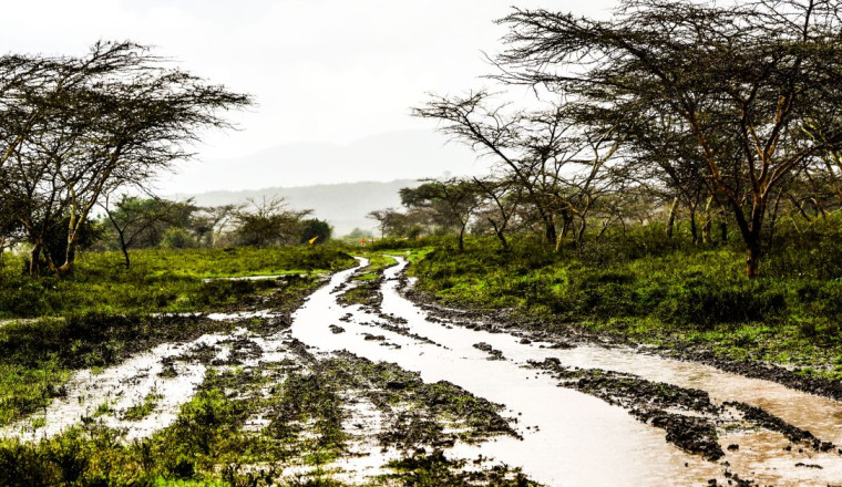 Drivers expecting their toughest Safari