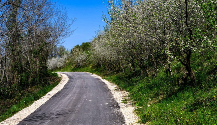 Croatia’s new stages have changed the rally’s nature