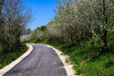 Croatia’s new stages have changed the rally’s nature