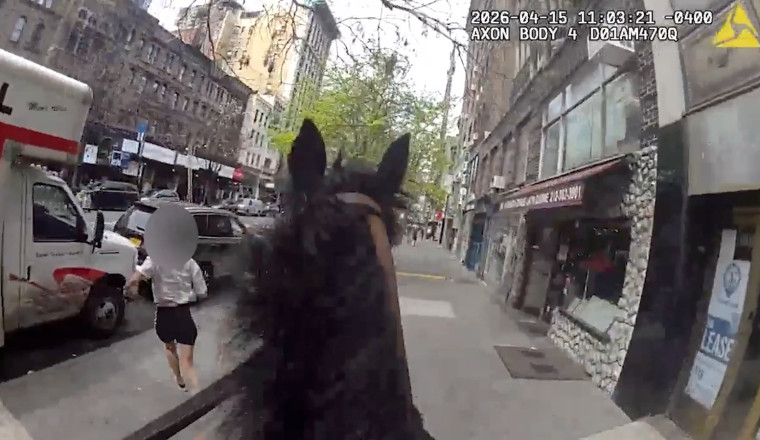 Wild Wild West Side: Horseback NYPD Cop Chases Down Suspected Purse Thief