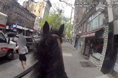 Wild Wild West Side: Horseback NYPD Cop Chases Down Suspected Purse Thief