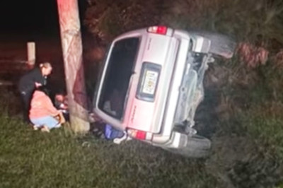 A 9-Foot Gator, A Steel Pole, And One Toyota 4Runner That Took Both Hits