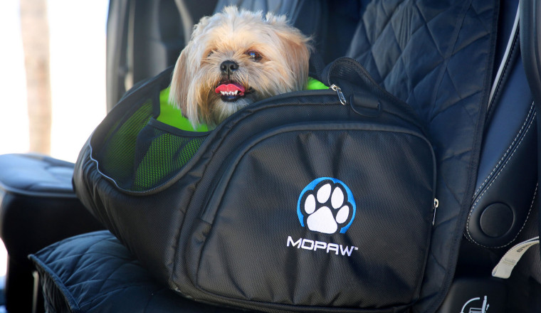 Stellantis Launches Mopaw, It’s Mopar For Pets