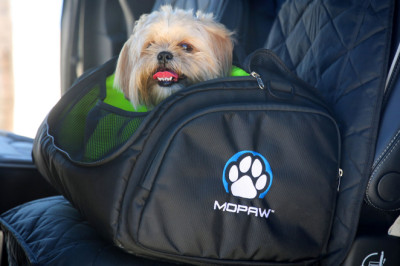 Stellantis Launches Mopaw, It’s Mopar For Pets