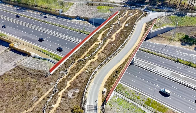 The £3.7million 'green bridge' to help snakes and toads cross busy A-road to heathland